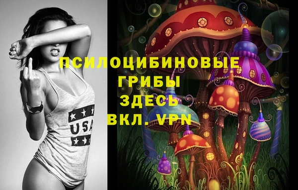 дмт Алексеевка