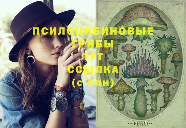 сатива Приозерск