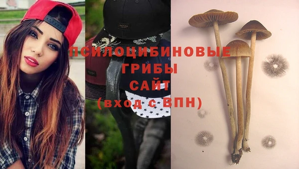 дмт Алексеевка