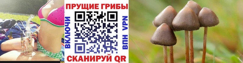 где найти   Солигалич  Галлюциногенные грибы мицелий 